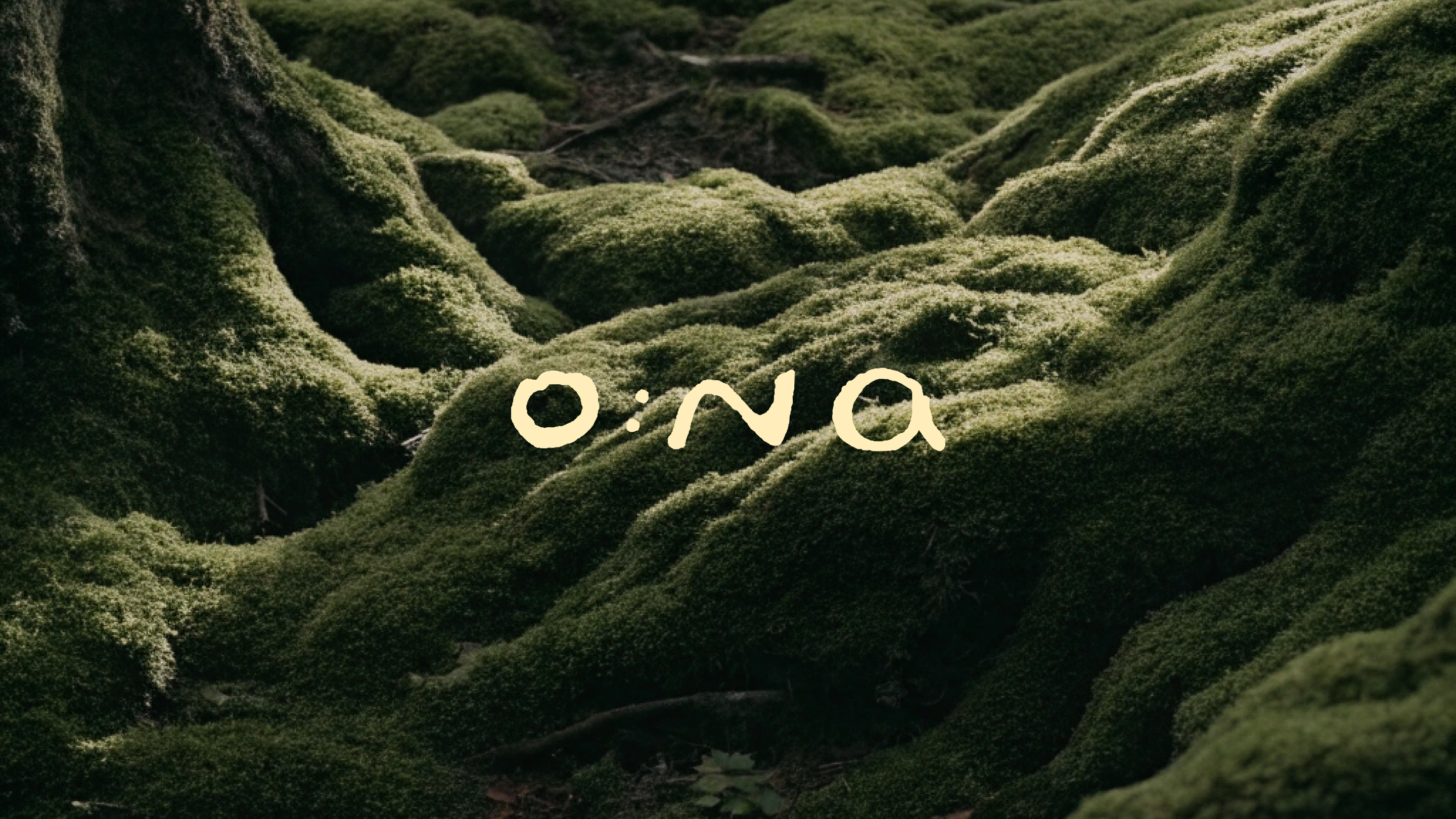 O:NA / Forest Gastro Space project visual 1