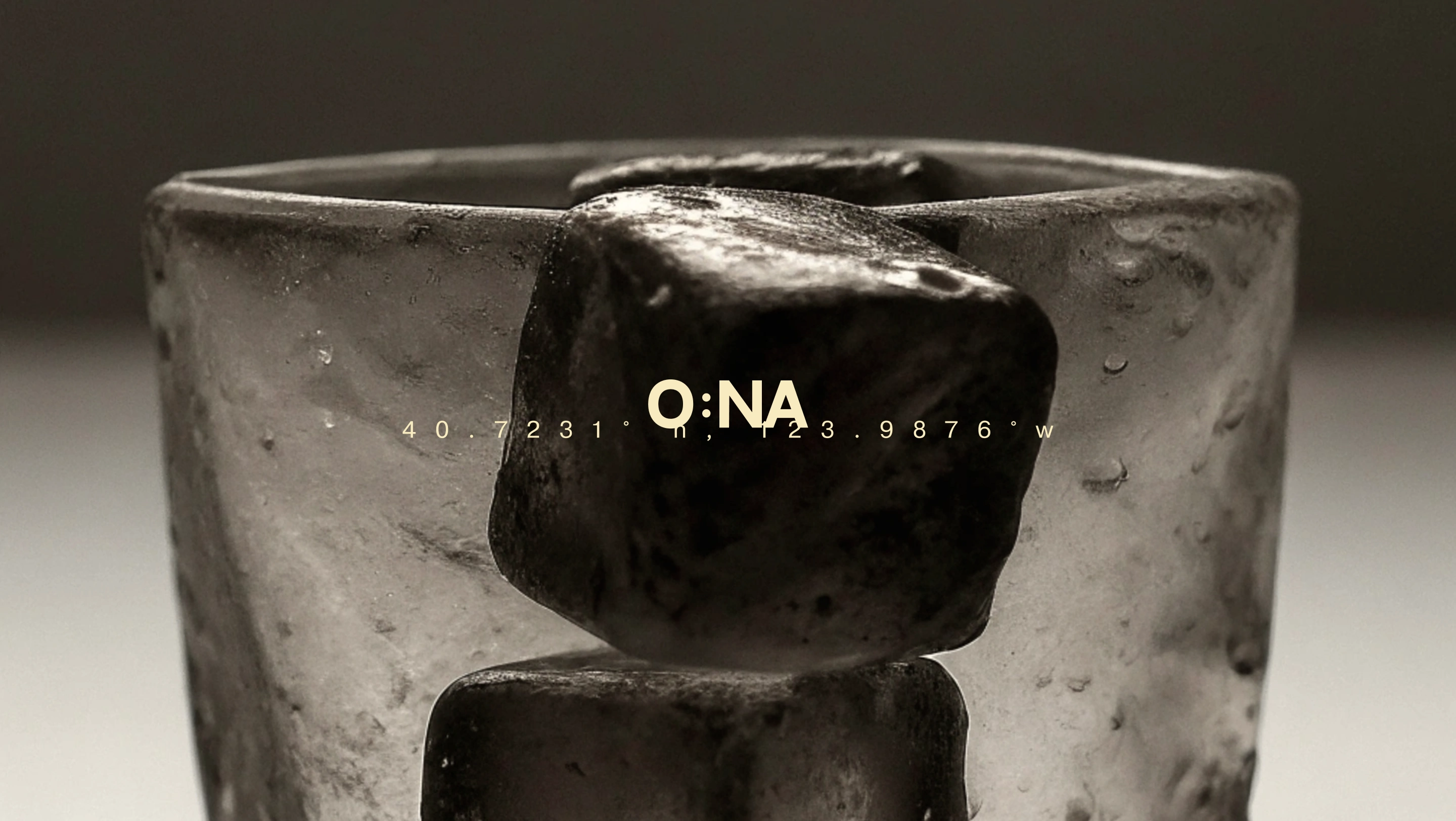 O:NA / Forest Gastro Space project visual 14