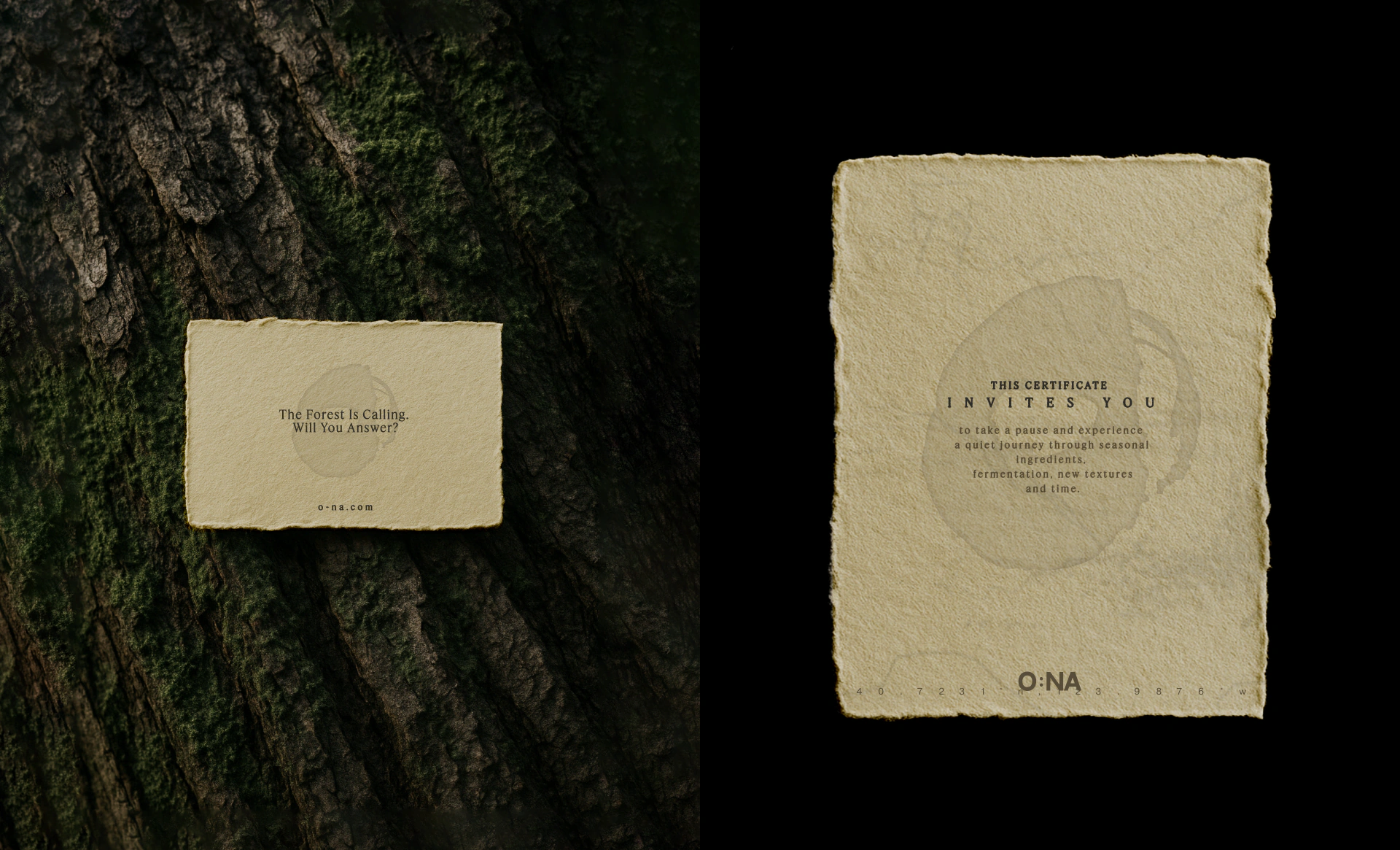 O:NA / Forest Gastro Space project visual 27