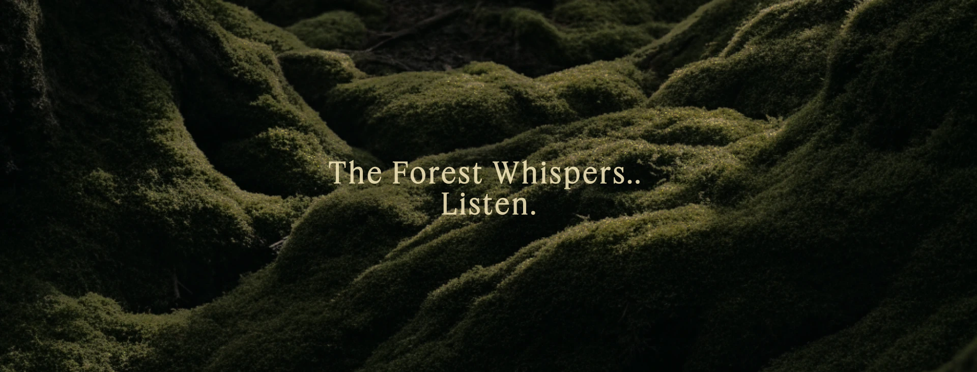 O:NA / Forest Gastro Space project visual 34